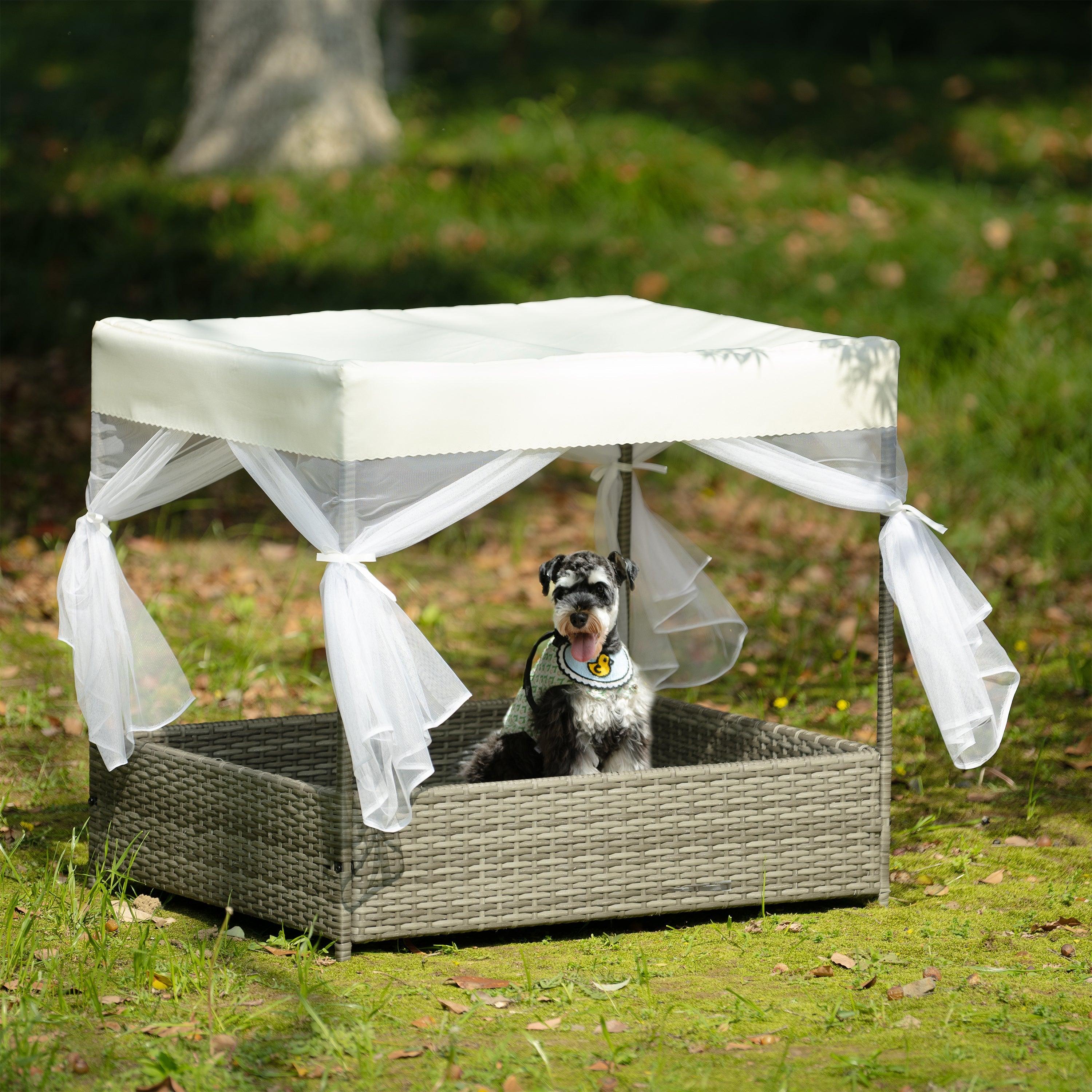 Dog Bed With Curtain